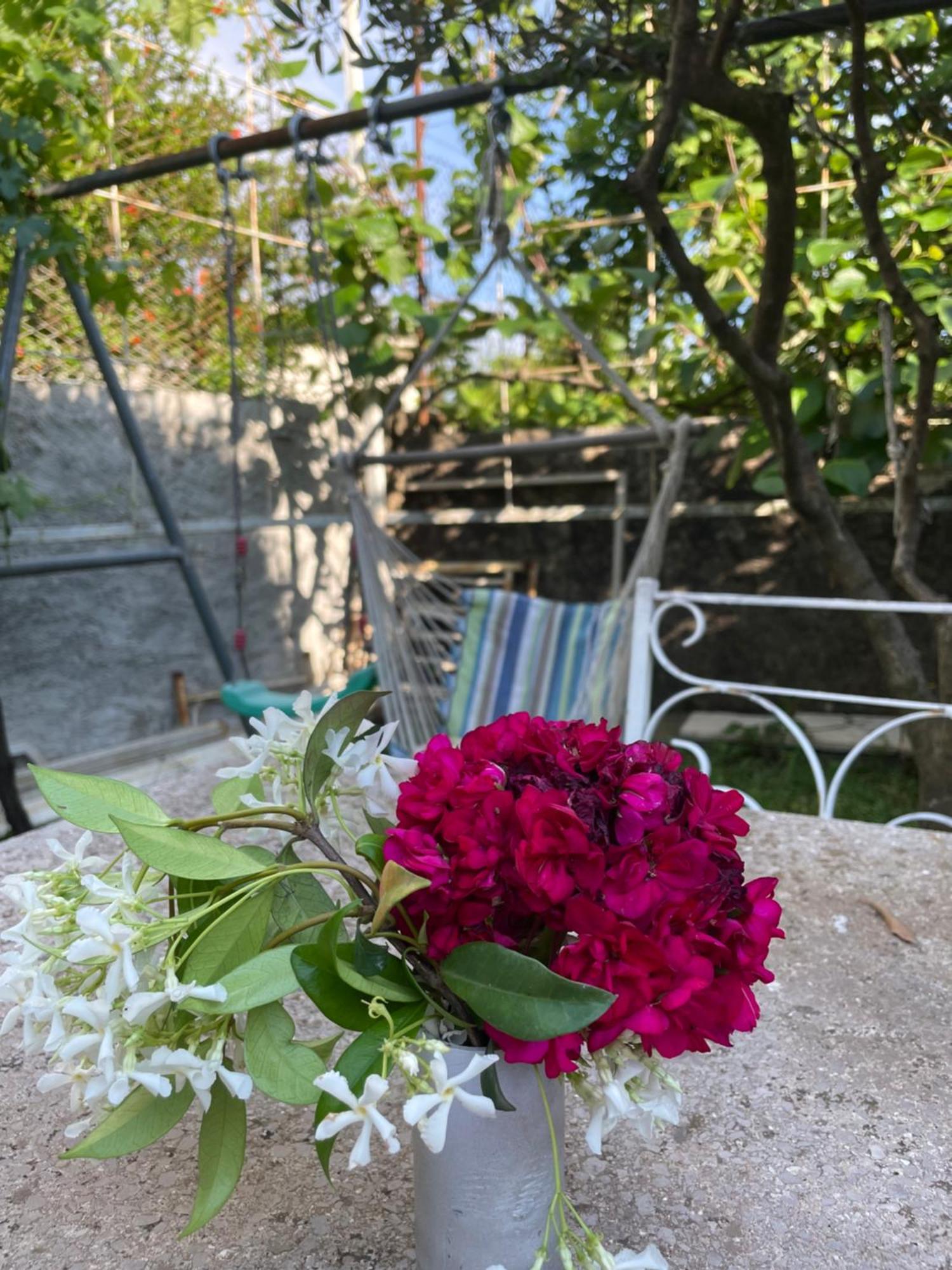 שקודר Vila Nela מראה חיצוני תמונה